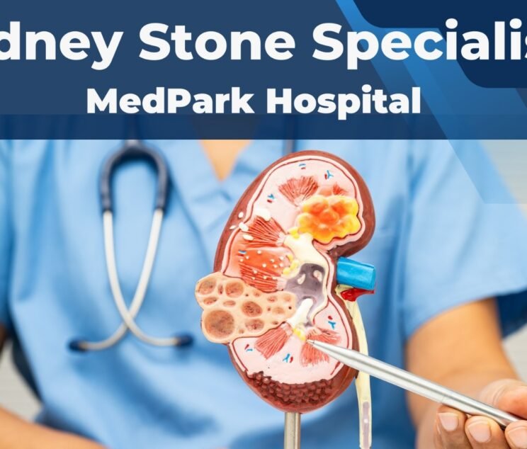 kidney stone specialist chandigarh at MedPark Hospital